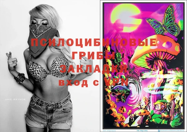 mdpv Иннополис