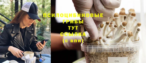 марихуана Инта