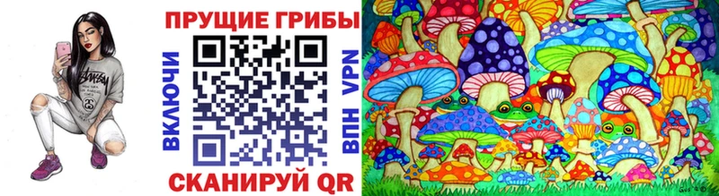 Купить закладки  Кузнецк  Псилоцибиновые грибы MAGIC MUSHROOMS 