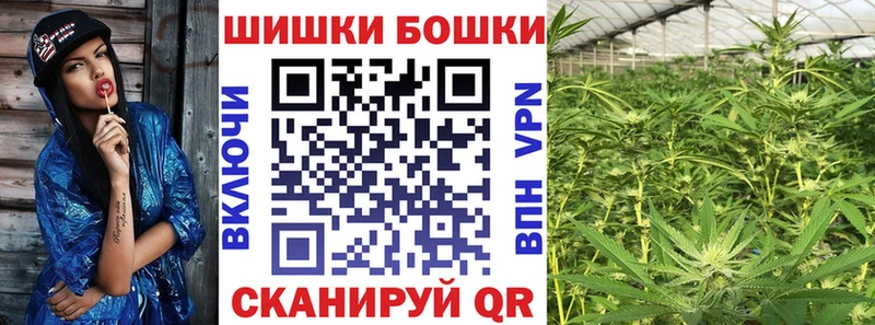 Канабис план  Купить  Кузнецк 